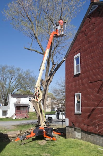 Pruning Service